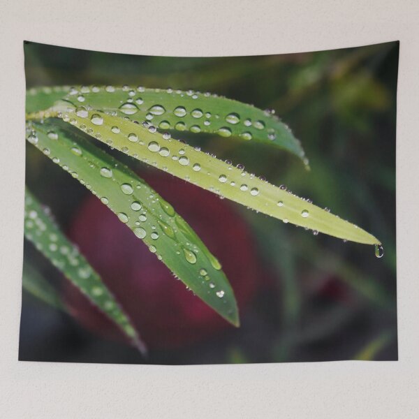 Item preview, Time to Go designed and sold by Steve Walser.