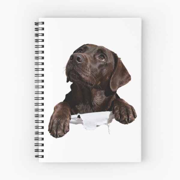 Item preview, Best Chocolate Lab ever gift designed and sold by WitWarp.