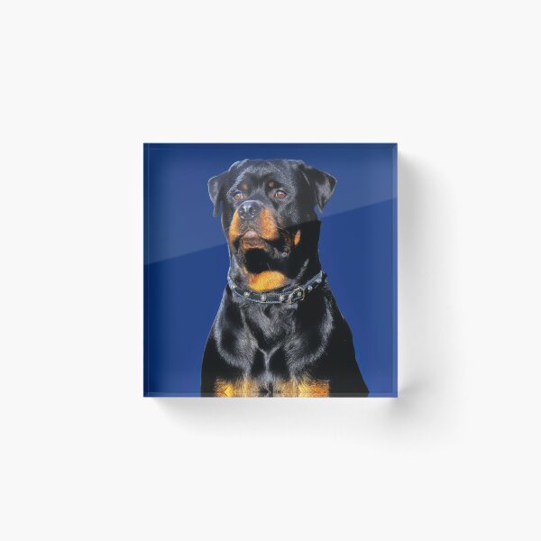 Item preview, Rottweiler Portrait designed and sold by Tom McPherson Photography.