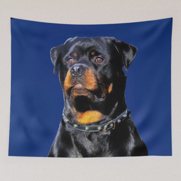 Item preview, Rottweiler Portrait designed and sold by Tom McPherson Photography.