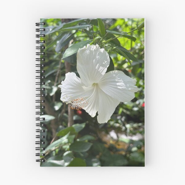Item preview, White Aruban Flower designed and sold by shachris.