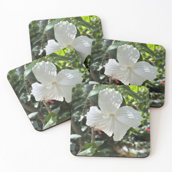Item preview, White Aruban Flower designed and sold by shachris.