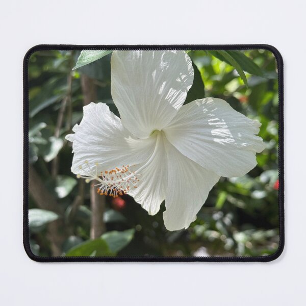 Item preview, White Aruban Flower designed and sold by shachris.