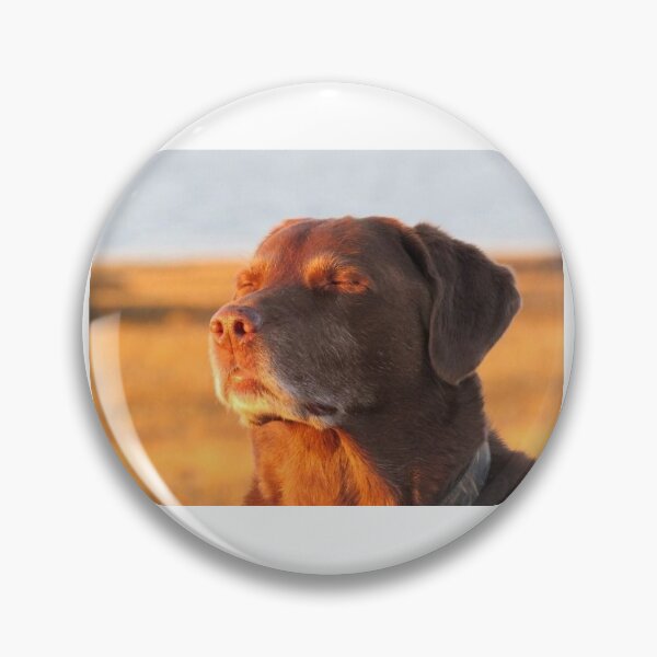 Item preview, meme dog designed and sold by aLilBlueberry.