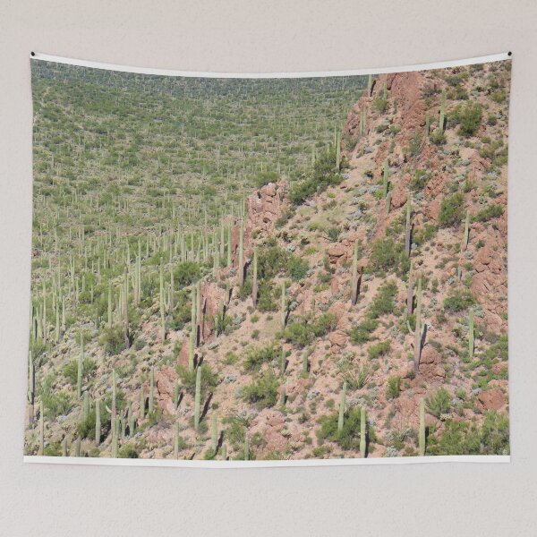Item preview, Saguaro Cacti Amongst The Jagged Rocks  designed and sold by simonjayphotos.