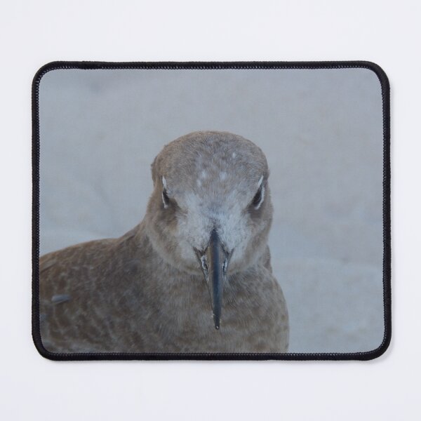 Item preview, Fed up Gull designed and sold by LumberjackTNArt.