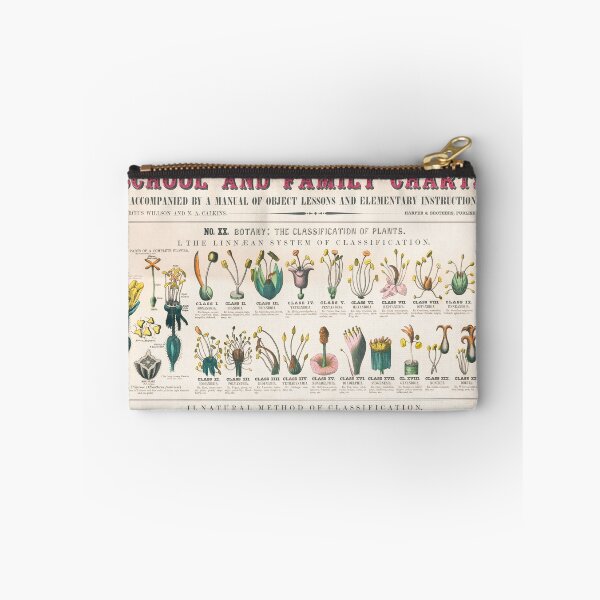 Item preview, Hand Drawn Plant Chart  designed and sold by AngyDesigns49.