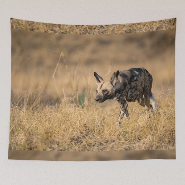 Item preview, Silent Hunter – African Wild Dog in the Golden Grass designed and sold by DavideAntoniani.