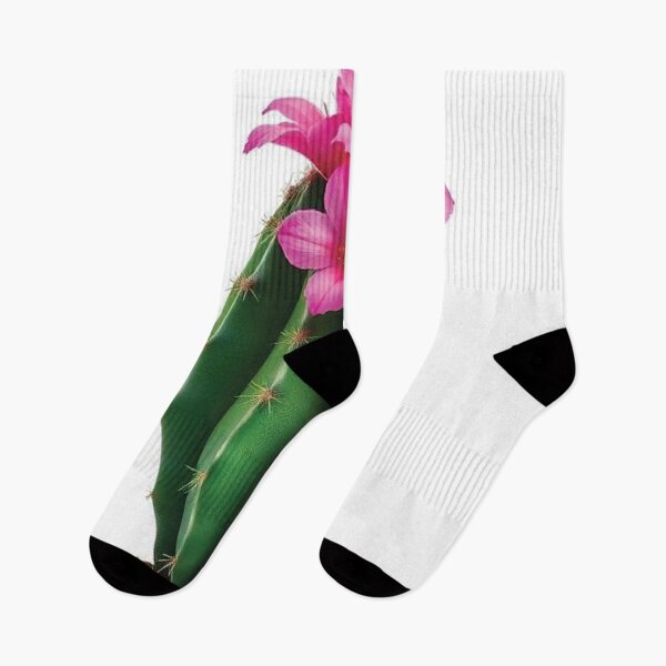 Item preview, A single cactus with vibrant pink flowers designed and sold by AnuNP.