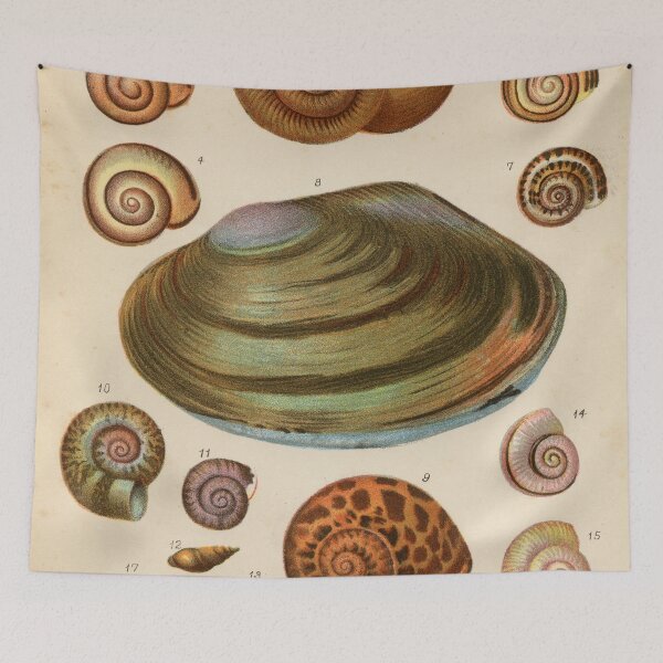 Item preview, Vintage Shell Collection designed and sold by Salocin.