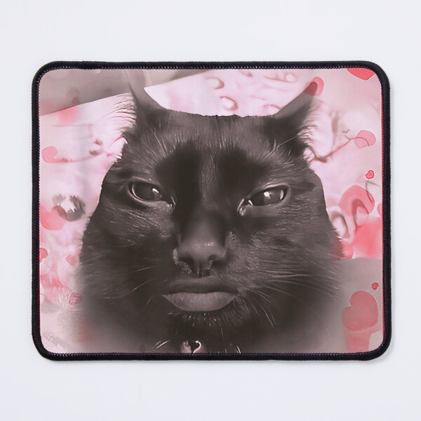 Item preview, I'M Gonna Sniff You Funny Brainrot Cats Meme designed and sold by AntulioPerez88.
