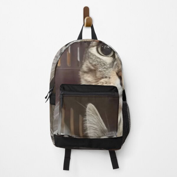 Item preview, Silly Staring Cat Meme designed and sold by JamesChamlee88.