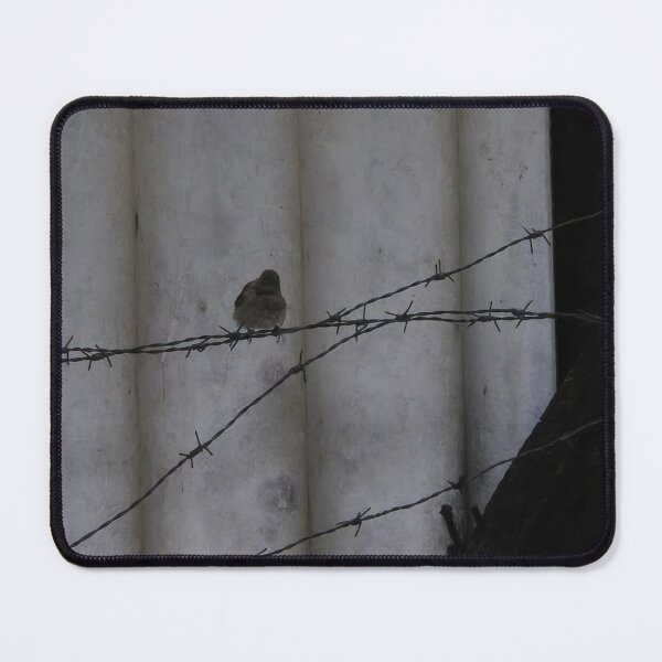 Item preview, Back bird designed and sold by Alonso Puyo.