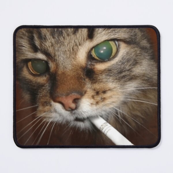 Item preview, Cat Meme Cat Smoking Cigarette designed and sold by GeorgeSumalbag8.