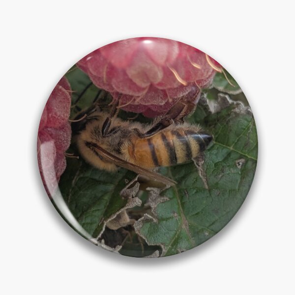 Item preview, Photo of honeybee on raspberry designed and sold by Lilacian.