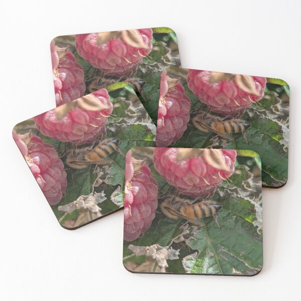 Item preview, Photo of honeybee on raspberry designed and sold by Lilacian.