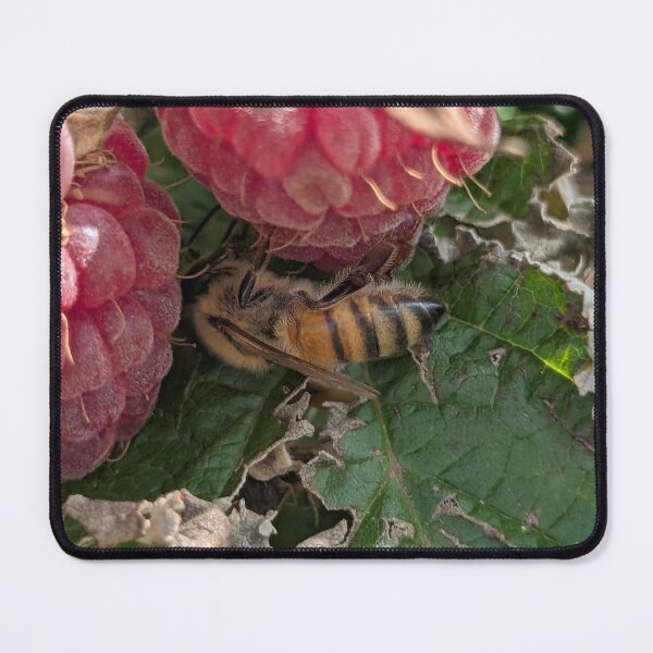 Item preview, Photo of honeybee on raspberry designed and sold by Lilacian.