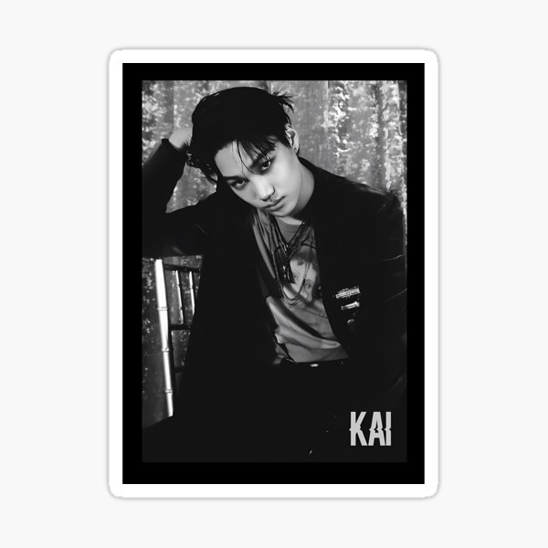 Exo Kai Stickers for Sale | Redbubble