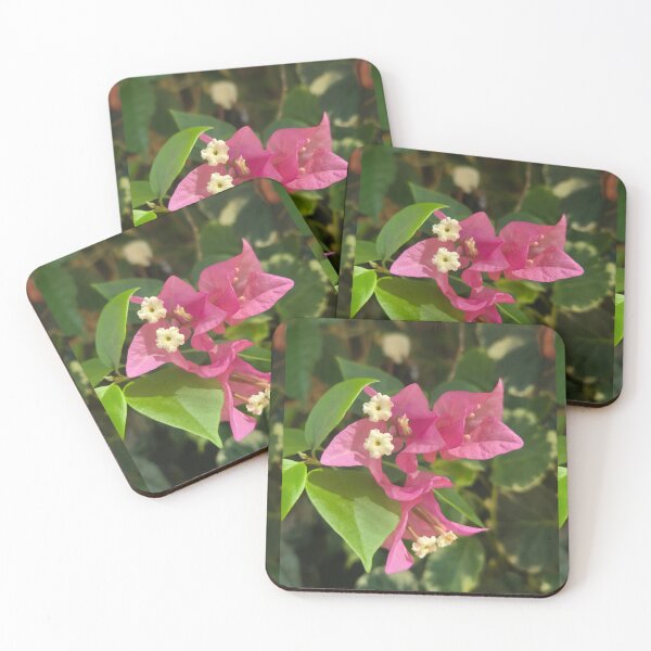 Item preview, The exotic pink flowers designed and sold by Alonso Puyo.