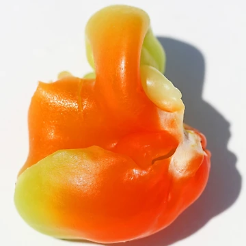 Artwork thumbnail, Pepper Innard by Chet  King