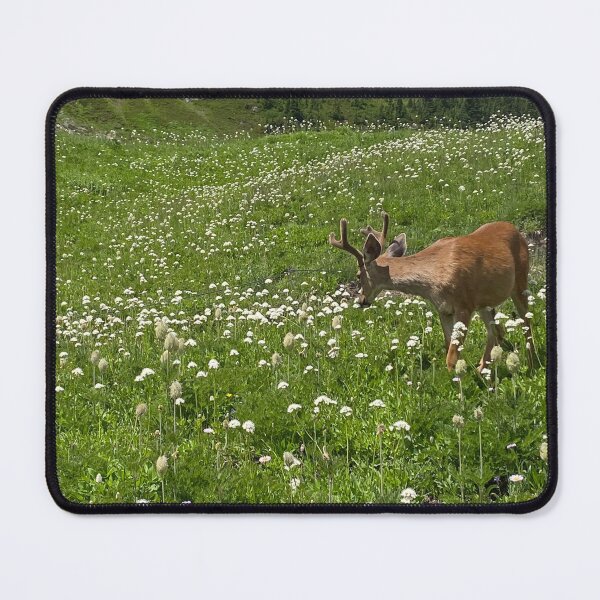 Item preview, Deer in Paradise on Mt. Rainer surrounded by Wildflowers designed and sold by EMJ Art.