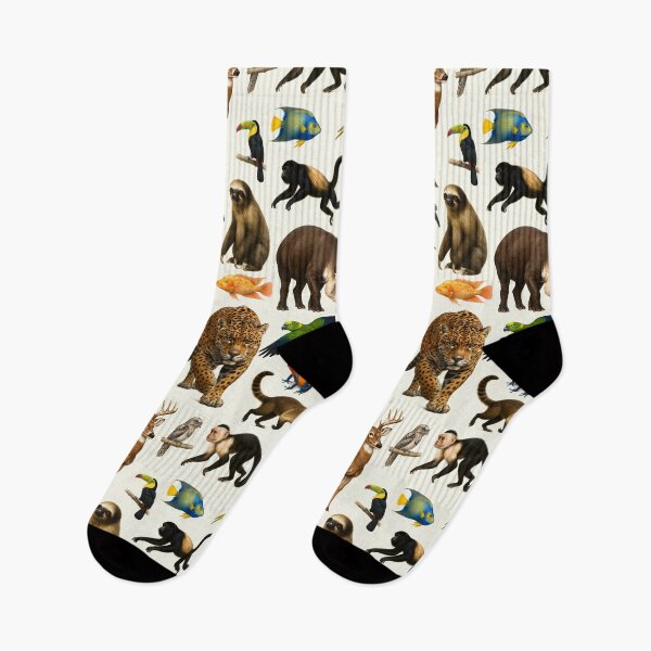 Item preview, Animals of Central America Retro Illustration Wildlife Chart designed and sold by kakarikihill.