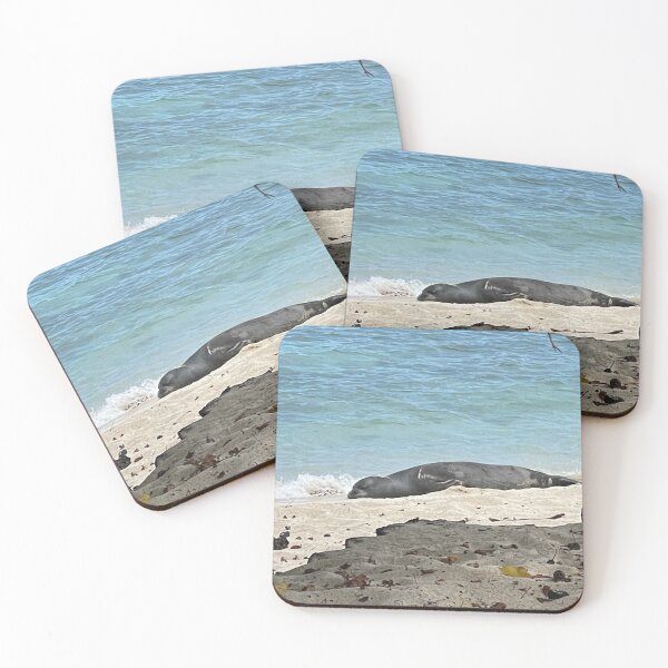 Item preview, Sea Lion Resting on the Shore designed and sold by TrisaThyme.