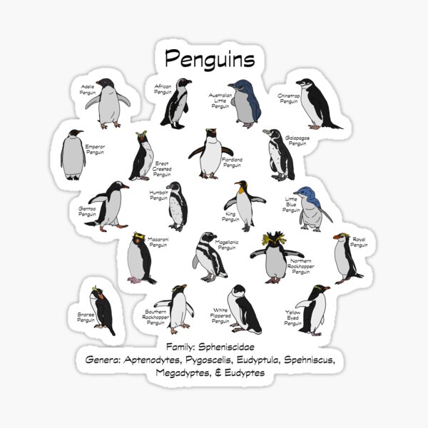 Item preview, Penguins designed and sold by GraceT26.