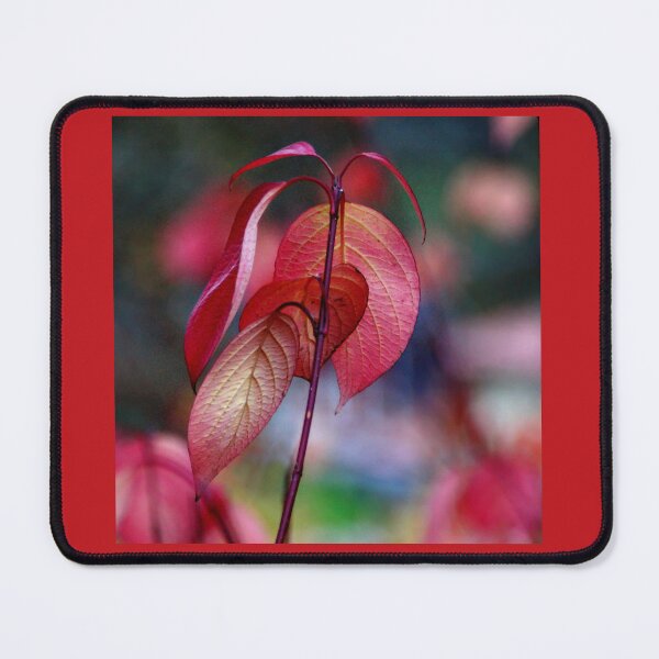 Item preview, Autumn leaves designed and sold by Bluesrose.
