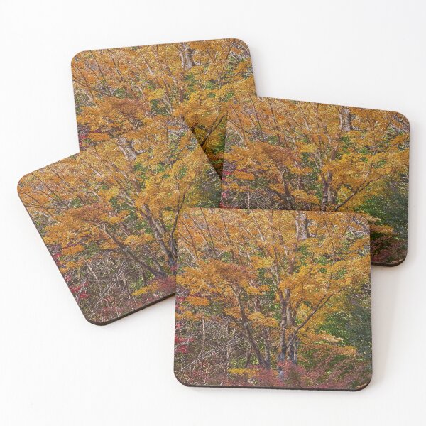 Item preview, Glorious autumn leaves in Nooroo gardens Mt Wilson designed and sold by Mrtweety.