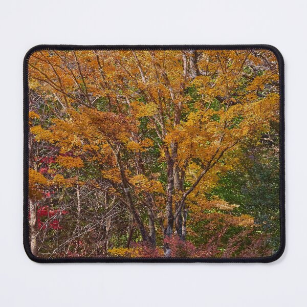 Item preview, Glorious autumn leaves in Nooroo gardens Mt Wilson designed and sold by Mrtweety.