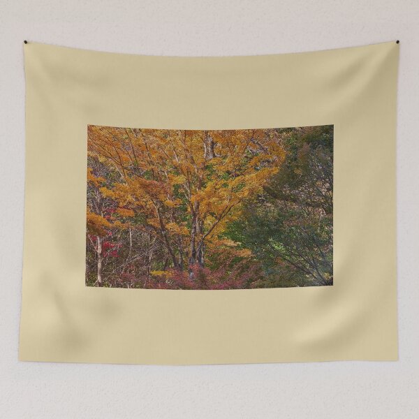Item preview, Glorious autumn leaves in Nooroo gardens Mt Wilson designed and sold by Mrtweety.