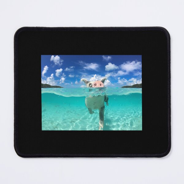 Item preview, Cute Swimming Pigs in Bahamas  	 designed and sold by cdfoobqe38.