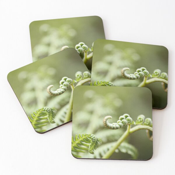 Item preview, The birth of a fern designed and sold by ANAEZ.