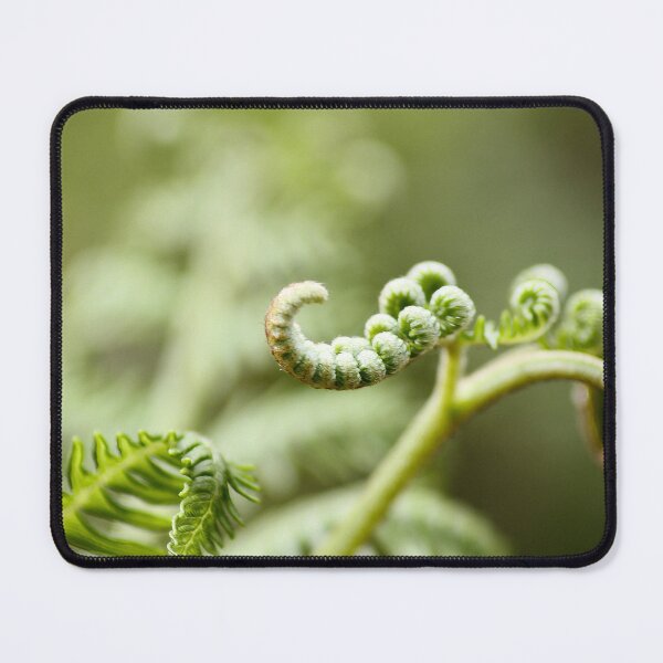 Item preview, The birth of a fern designed and sold by ANAEZ.