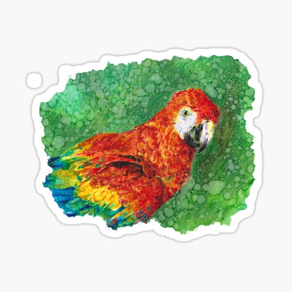 Bright Parrot Sticker