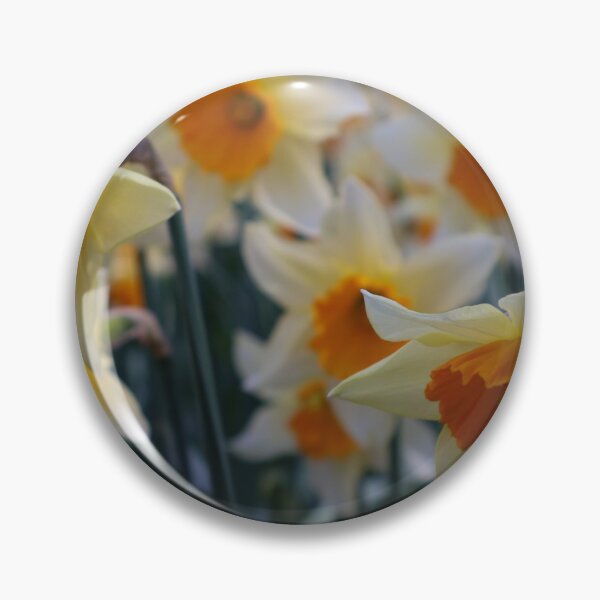 Item preview, Daffodils designed and sold by mortal perspective .