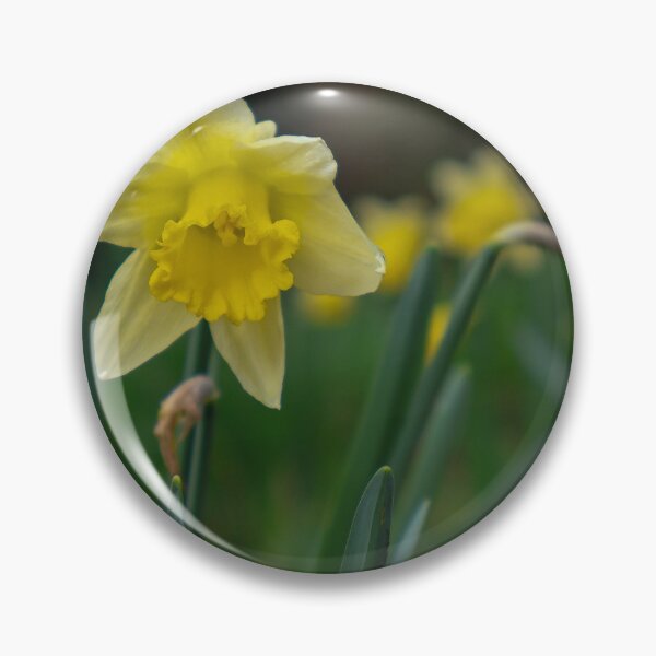 Item preview, Daffodils designed and sold by mortal perspective .