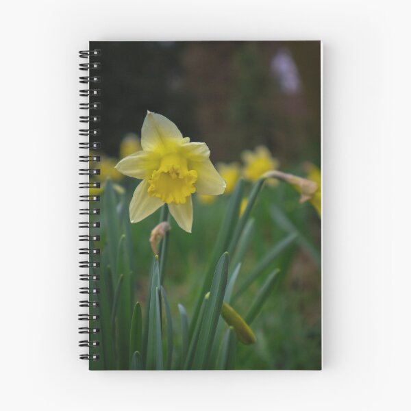 Item preview, Daffodils designed and sold by mortal perspective .