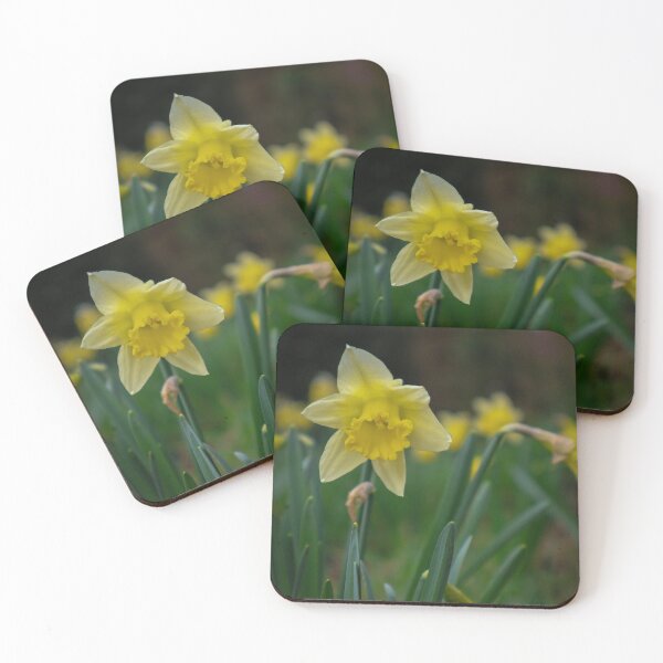 Item preview, Daffodils designed and sold by mortal perspective .