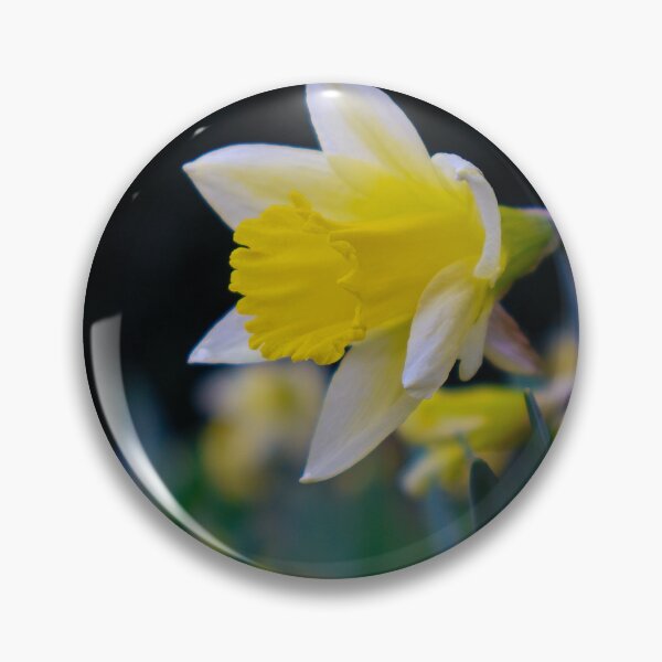 Item preview, Daffodils designed and sold by mortal perspective .