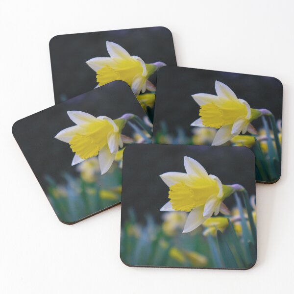 Item preview, Daffodils designed and sold by mortal perspective .