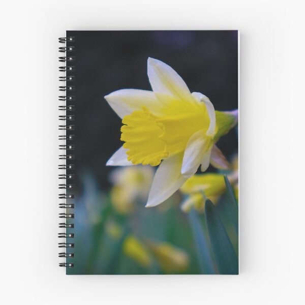 Item preview, Daffodils designed and sold by mortal perspective .