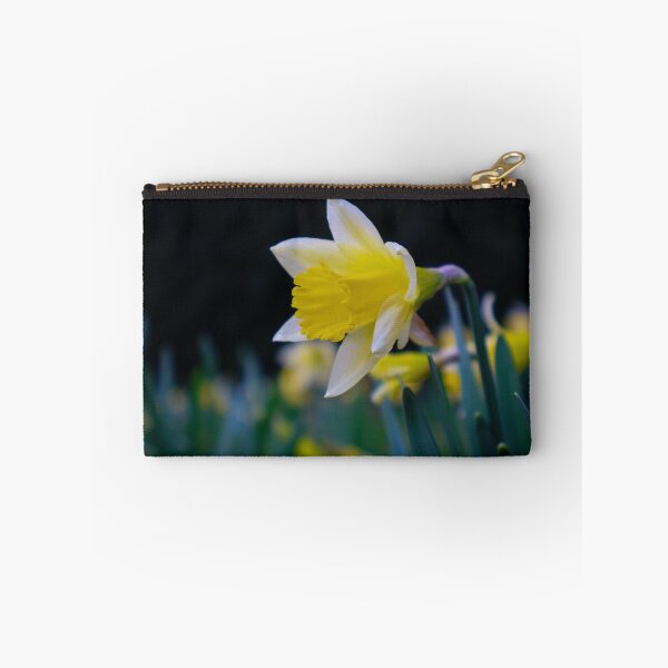 Item preview, Daffodils designed and sold by mortal perspective .