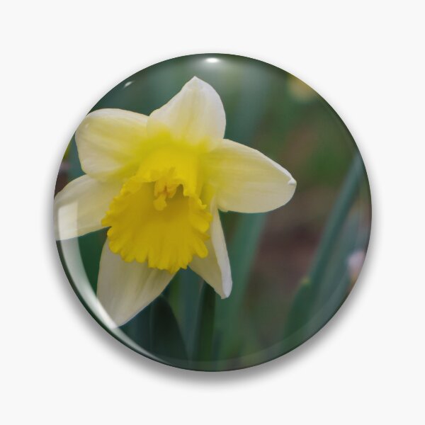 Item preview, Daffodils designed and sold by mortal perspective .
