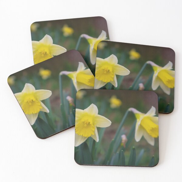 Item preview, Daffodils designed and sold by mortal perspective .