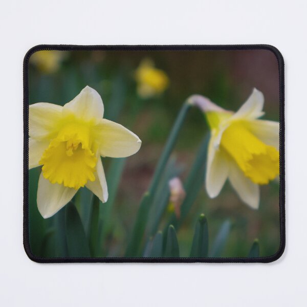 Item preview, Daffodils designed and sold by mortal perspective .