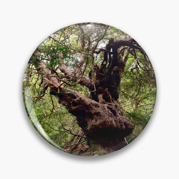 Item preview, Chichester Ancient Yews designed and sold by mortal perspective .
