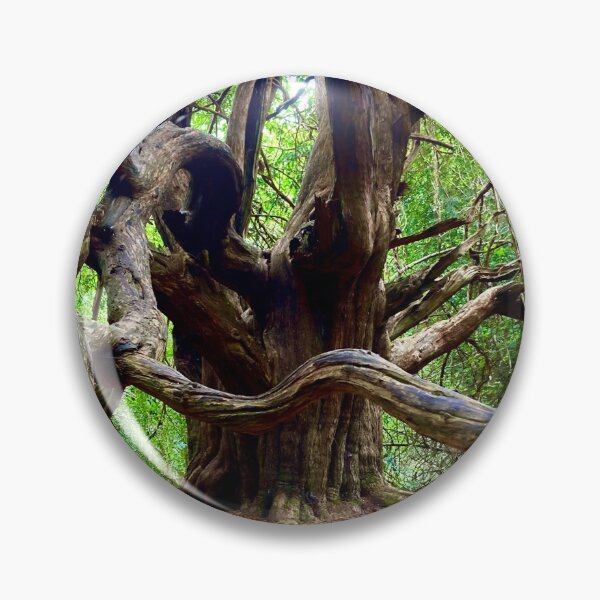 Item preview, Chichester Ancient Yews designed and sold by mortal perspective .