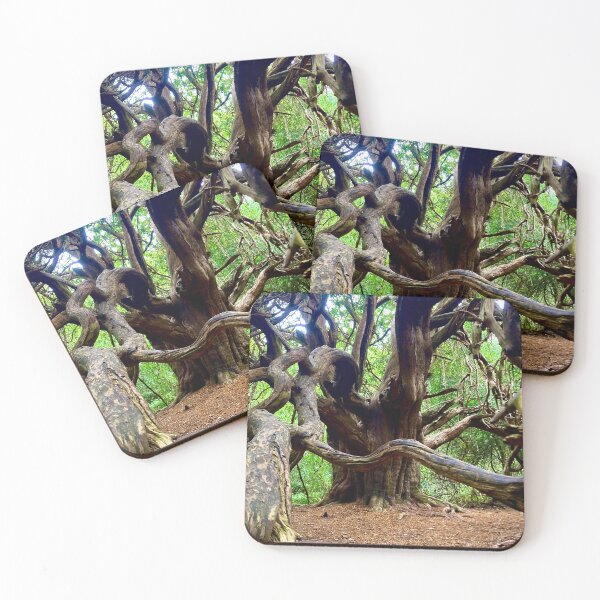 Item preview, Chichester Ancient Yews designed and sold by mortal perspective .